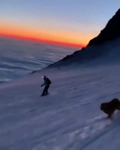 Aesthetic video