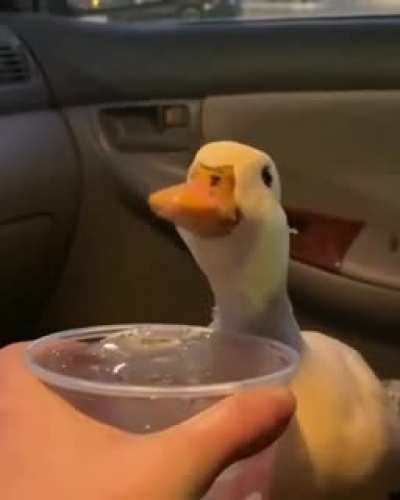 :3