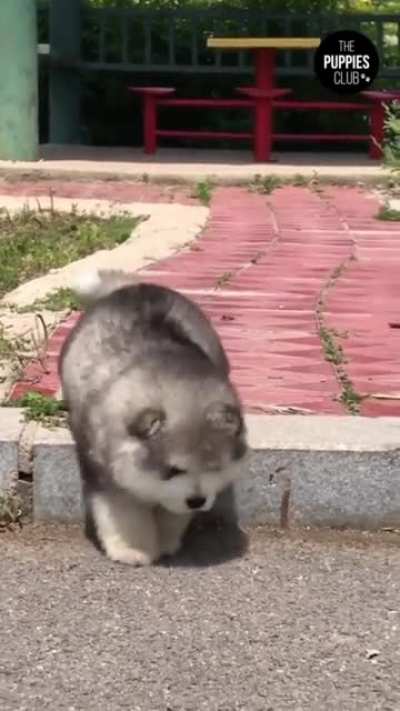 Застрял