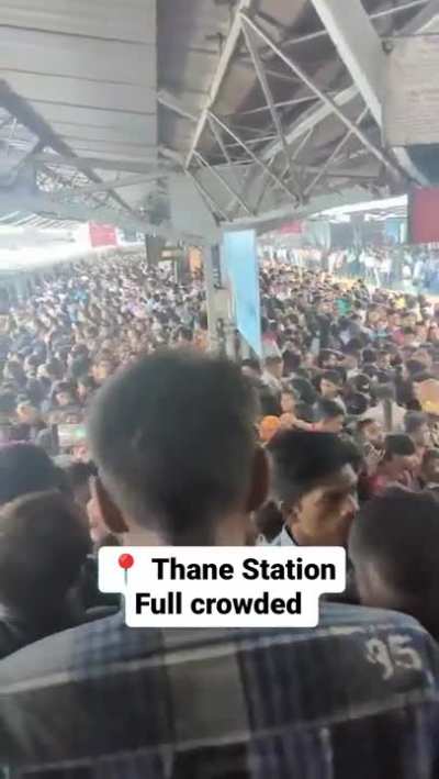 The crowd!!