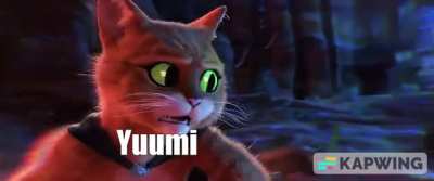 Gato about to drop her winrate