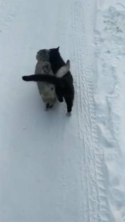 Let's keep each other warm