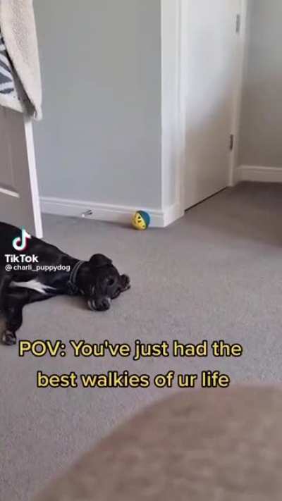 An absolute derp