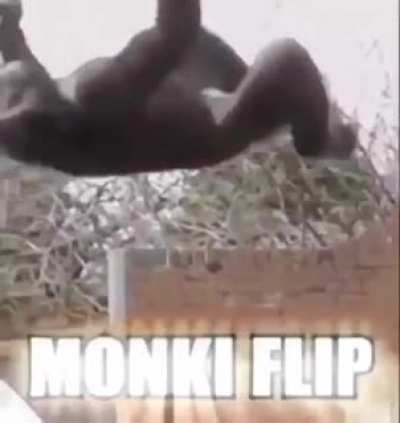 I can&rsquo;t