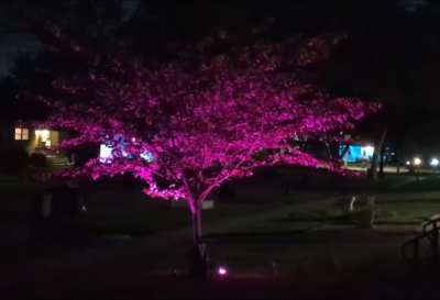 Look at all them pretty lights