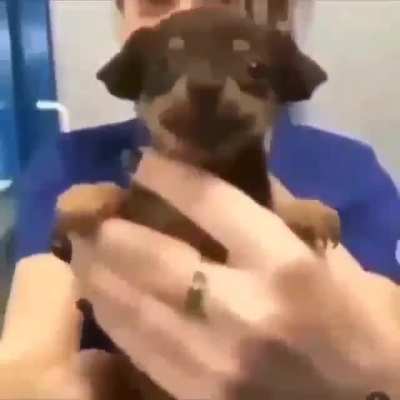 Alguien tiene el video de &iquest;Y la beb&eacute;?
