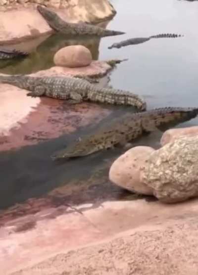 He looks so happy.
