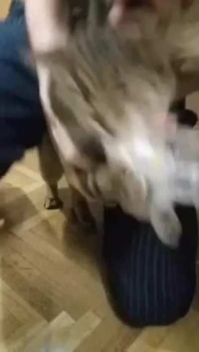 &ldquo;I regret nothing! Do hear me? Nothing!&rdquo;