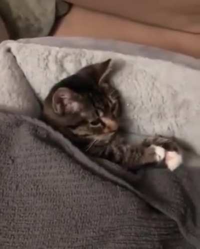 So adorable