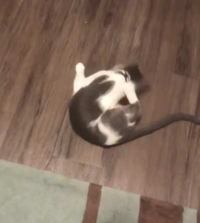 she attacks her butt, but the butt attacks back