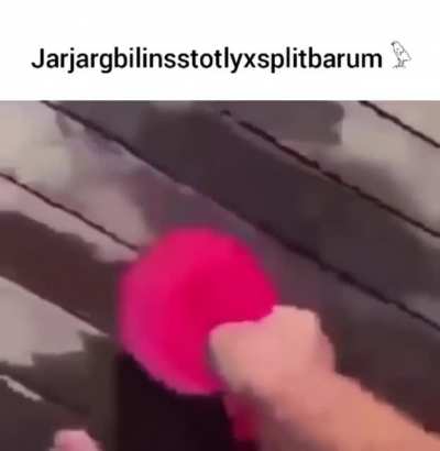 rule