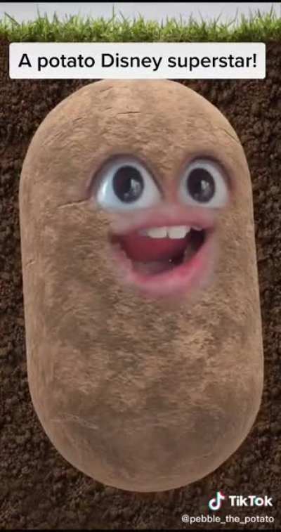 Potato