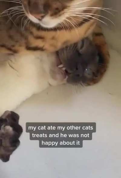 He has accepted his fate.