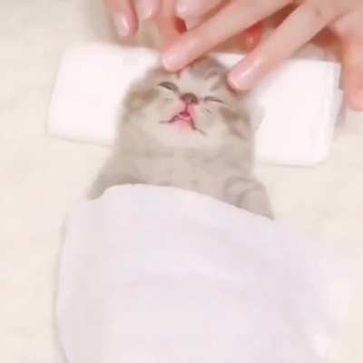 I&rsquo;m in love