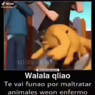 Perro