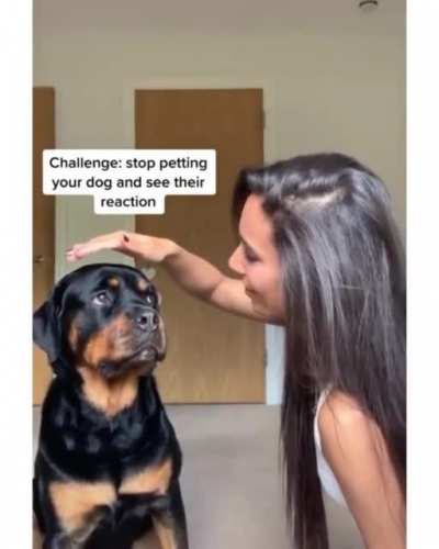 Don&rsquo;t stop petting me