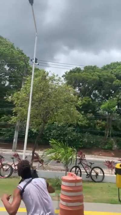 A&ccedil;&atilde;o e rea&ccedil;&atilde;o