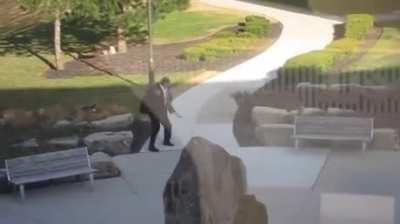 Man vs Goose