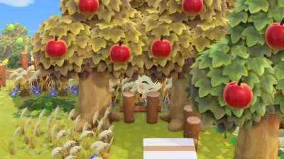No wonder I couldn't find Marshal anywhere the island