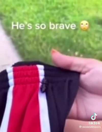 Probably been posted prolly not. Made me laugh