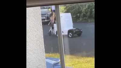 The pug on the loose