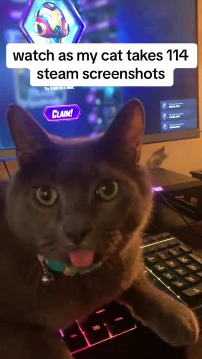 wunk gaming