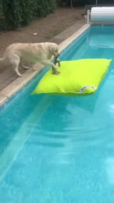 Maybe maybe maybe
