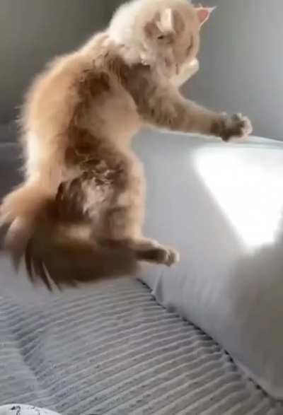 Touch Tha Fishy
