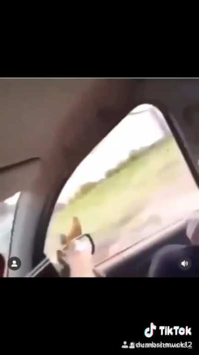 cursed_chicken