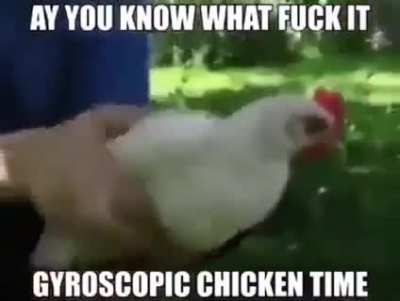 gyroscopic rule
