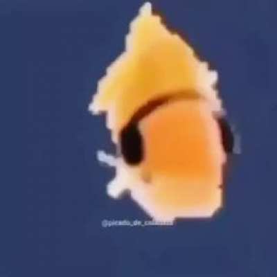 Nose que poner xd