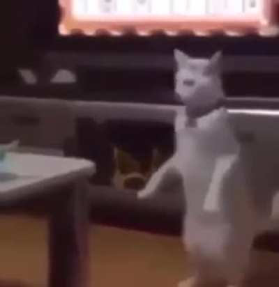 Cursed