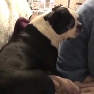 The short clips always get me