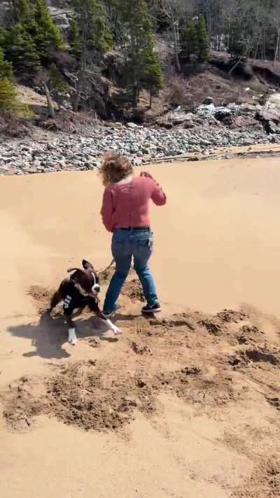 Bilbo&rsquo;s first trip to the beach.