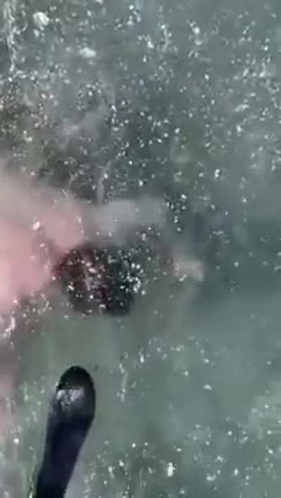 To swim to the other hole.