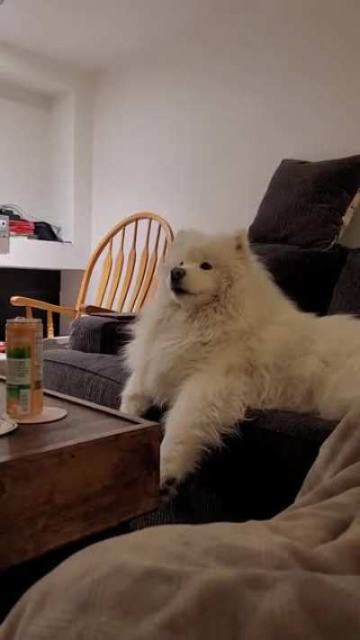 Our boy loves singing with us