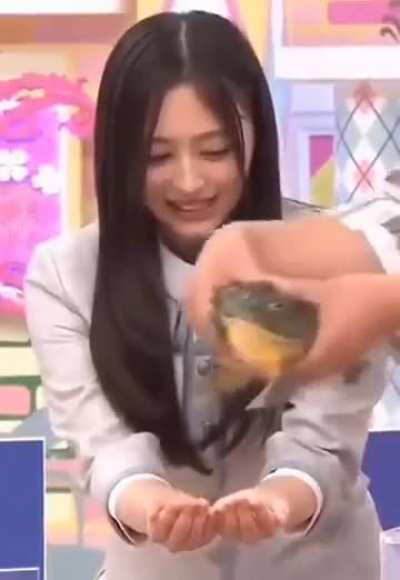 Frog be upon ya