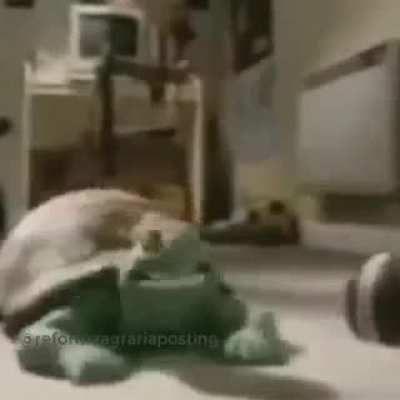 Tienes Pichula en la cabeza ??