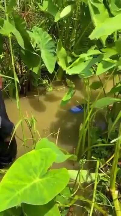 A phone placed on a slipper, on water