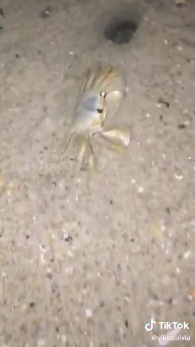 &ldquo;Why does he have sand&rdquo;