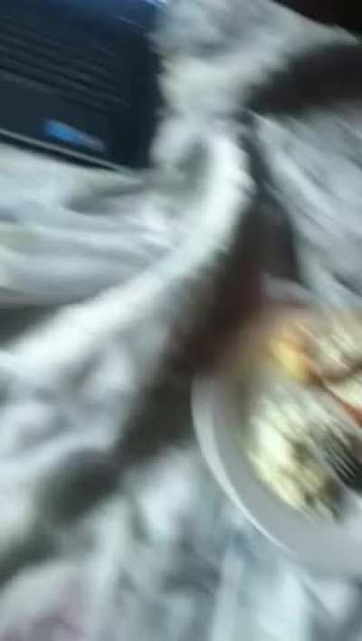 You gonna eat that?