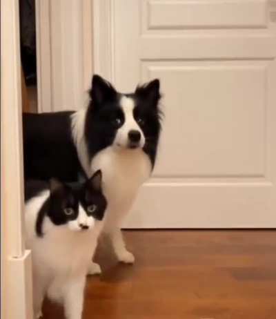 Twins...