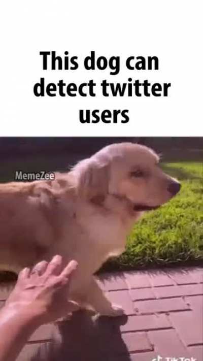 &eth;&sect;