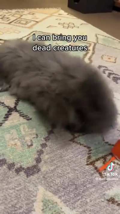 I cat do it myself