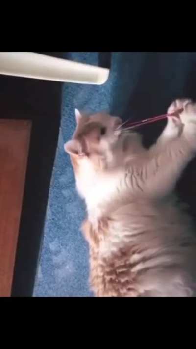 Mistakes were made