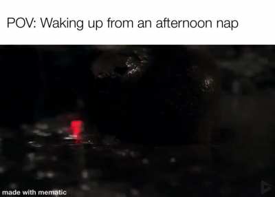 Don’t trust them afternoon naps (Heil Spez)