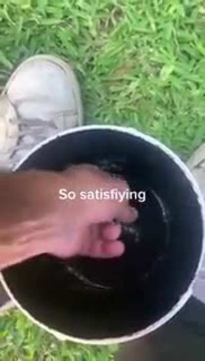 What&rsquo;s at the bottom?