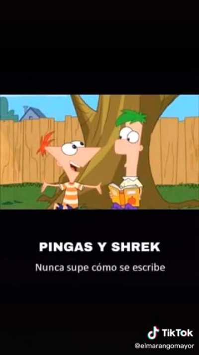 Nunca supe c&oacute;mo se escribe