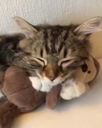 Favorite toy