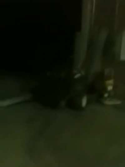 Moldy ZTR Crash